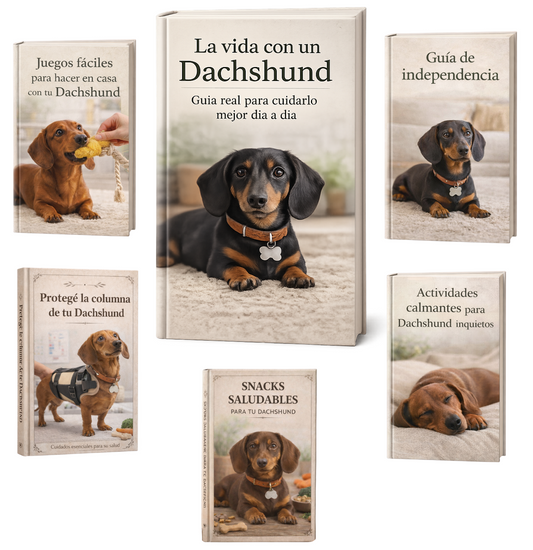 Guía Dachshund